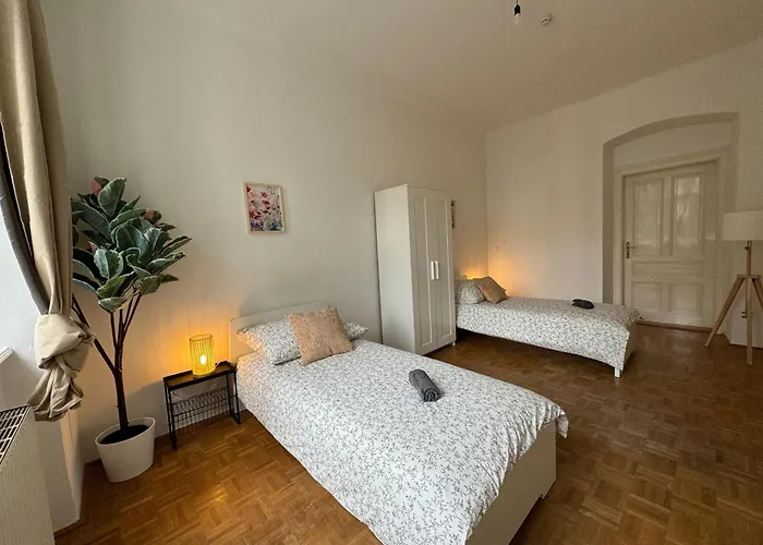 Spacious 5-room With Free Parking Viyana